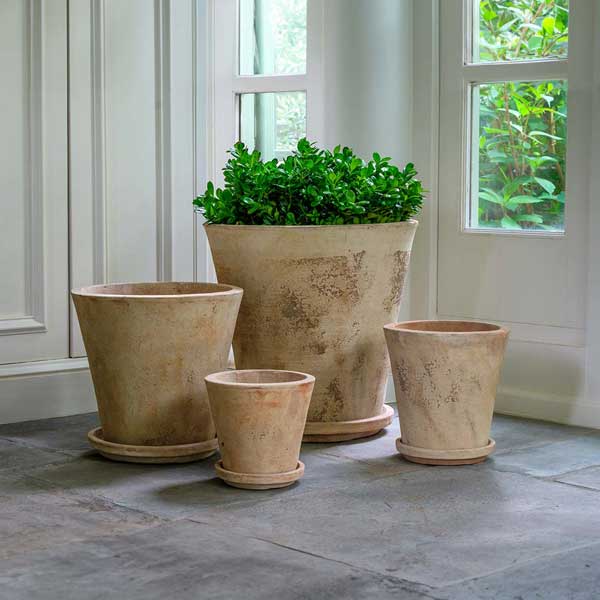 Alicia Planter - Antico Terra Cotta - S/4 on concrete filled with plants