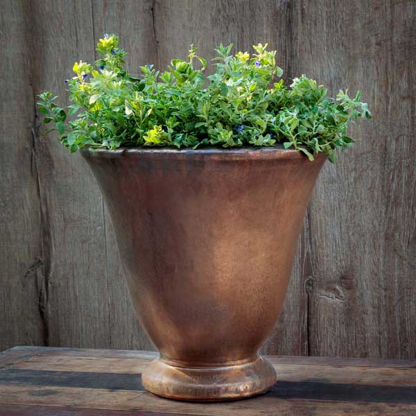 Caterine Urn Planter - Bronze S/1 on table filled with plants