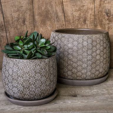 Large Marguerite Round Coffee Planter S/8 filled with plants against brown wall