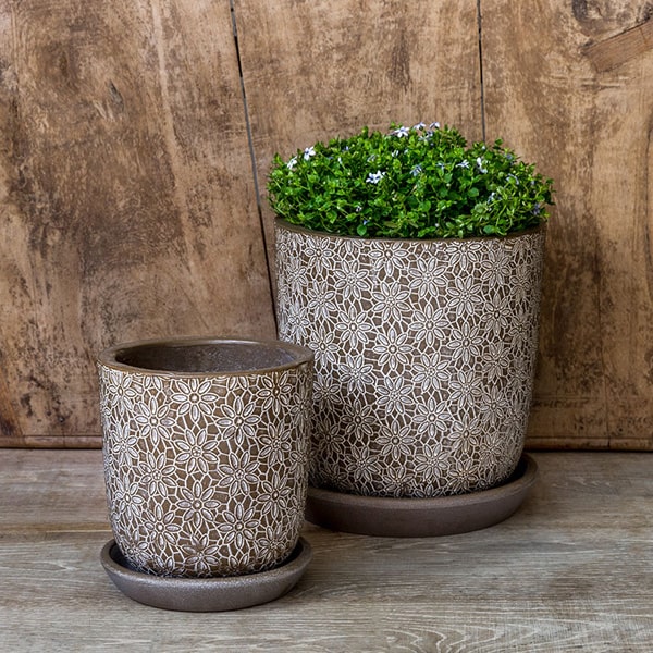Small Marguerite Round Coffee Planter S/8 filled with plants against brown wall