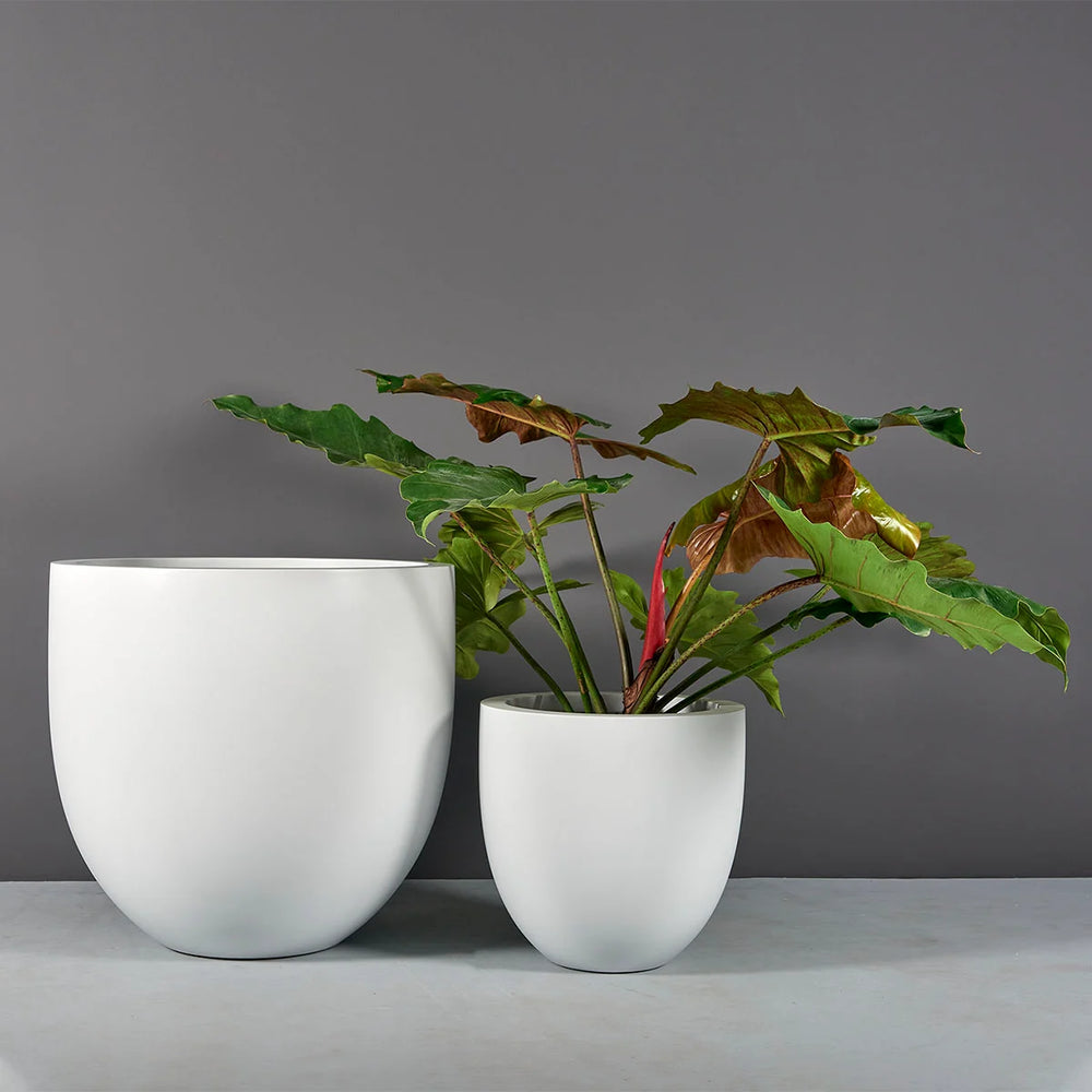 Alzira Round Fiberglass Planter shown with different sizes filled with plants.