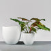 Alzira Round Fiberglass Planter shown with different sizes filled with plants.