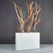 Amesbury Narrow Rectangle Planter on concrete filled with plants.