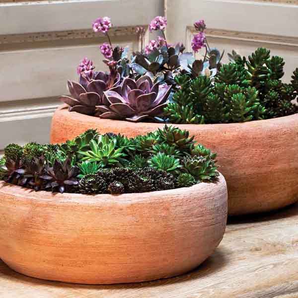 Annalise Planter Terra Nova s/2 filled with cactus