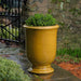 Antibe Urn - Honey - S/1 on concrete filled with plants