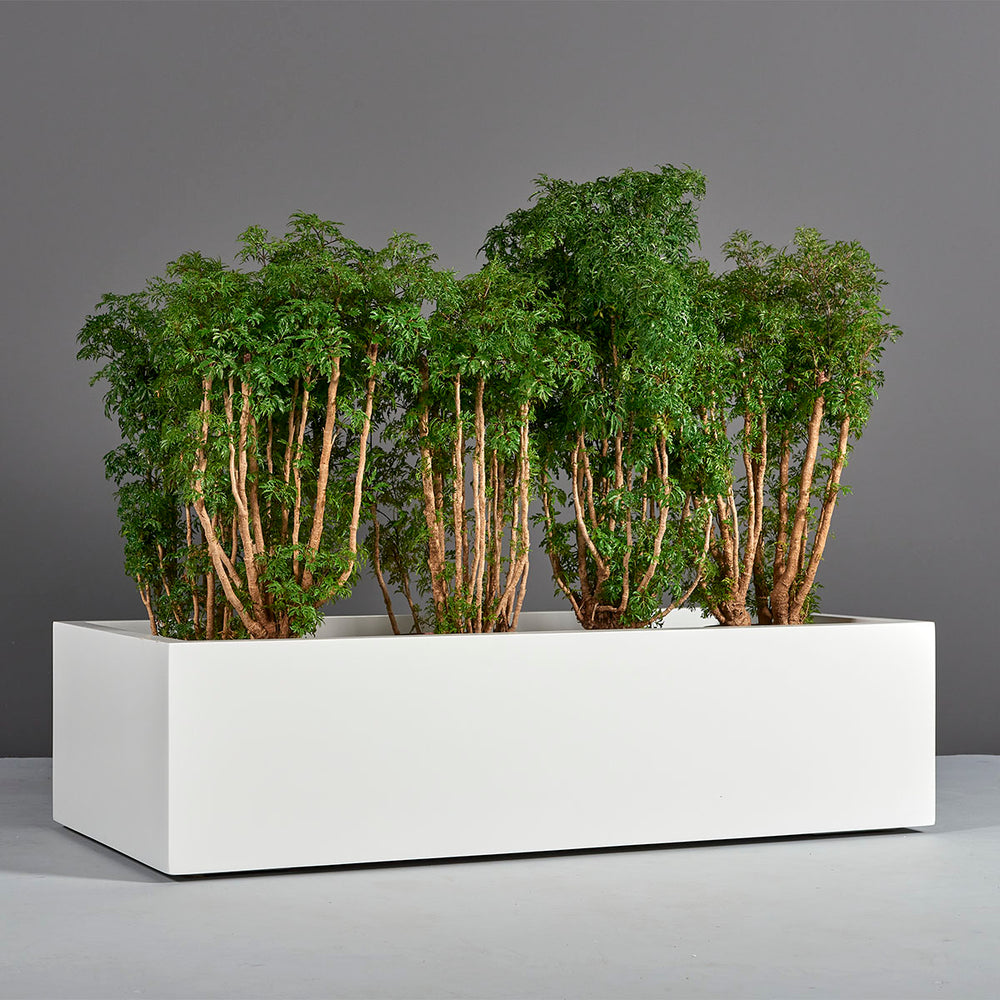 Antwerp Wide Rectangular Fiberglass Planter on concrete filled with plants.