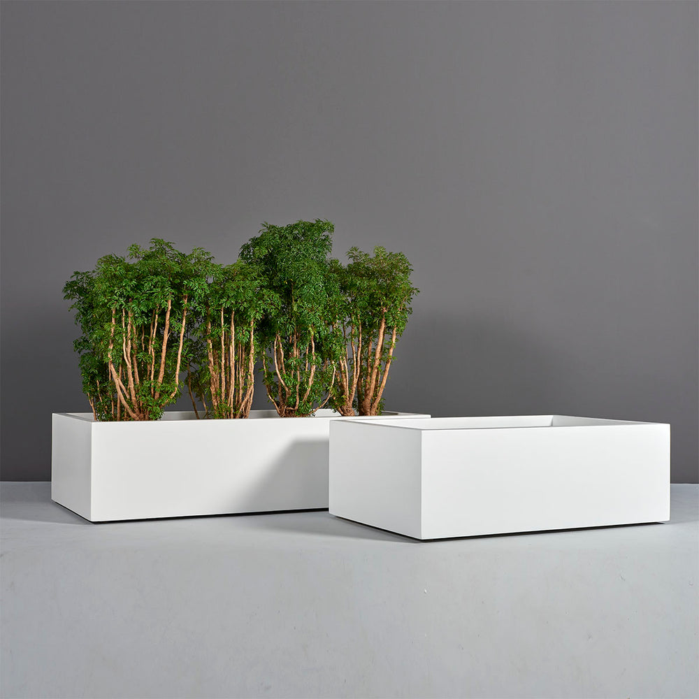 Antwerp Wide Rectangular Fiberglass Planter shown in different sizes filled with plants.