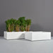 Antwerp Wide Rectangular Fiberglass Planter shown in different sizes filled with plants.