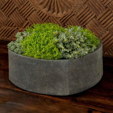 Area Planter on table filled with plants.