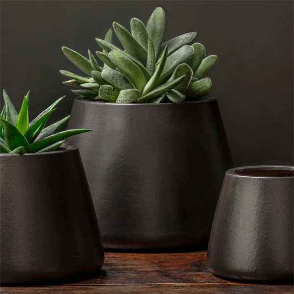 Artisan Pot, Large - Matte Black - S/2 filled with cactus against black backdrop upclose