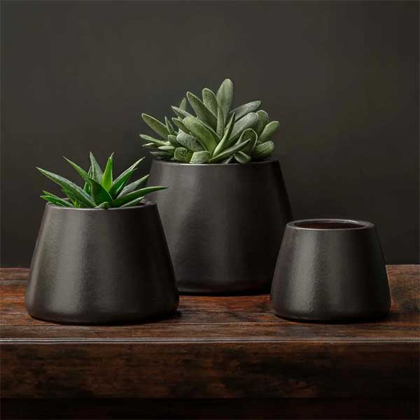 Artisan Pot, Large - Matte Black - S/2 filled with cactus on table