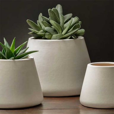 Artisan Pot, Large - Matte White - S/2 filled with cactus on table upclose