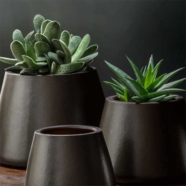 Artisan Pot, Medium - Matte Black - S4 filled with plants against black backdrop