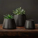 Artisan Pot, Medium - Matte Black - S4 filled with plants on table