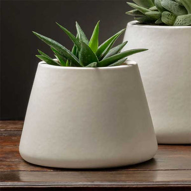 Artisan Pot, Medium - Matte White - S/4 filled with plants on table upclose