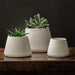 Artisan Pot, Medium - Matte White - S/4 filled with plants on table