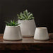 Artisan Pot, Medium - Shiny White - S/4 filled with plants on table