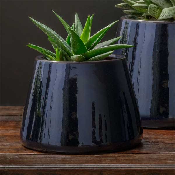 Artisan Pot Planter, Medium - Sapphire - S/4 filled with plants on table upclose