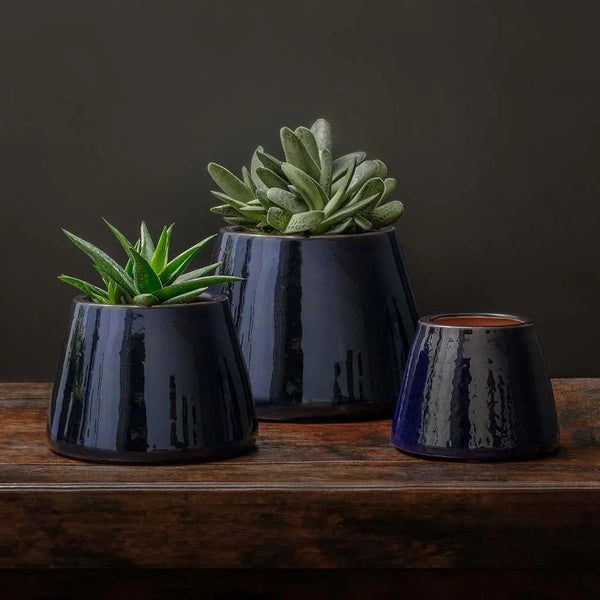 Artisan Pot, Small - Sapphire - S/6 filled with plants on table