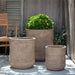 Aspen Planter - Brown Terra Cotta - S/3 on concrete filled with plants