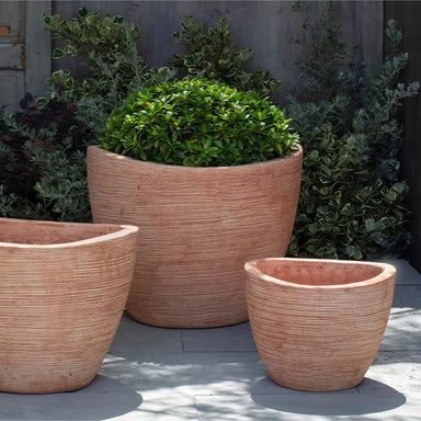 Beliza Planter - Terra Cotta - S/3 on concrete filled with plants