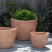 Beliza Planter - Terra Cotta - S/3 on concrete filled with plants