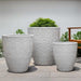 Benicio Planter - Antique White - S/3 on concrete filled with plants