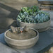 Beveled Songbird Fountain on ledge in the backyard