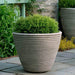 Bibendum Planter, Low on concrete filled with plants.