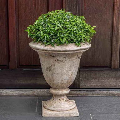 Bolzano Urn Antico Terra Cotta S/1 on the concrete filled with plants