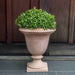 Bolzano Urn Planter - Terra Cotta - S/1 on the concrete filled with plants