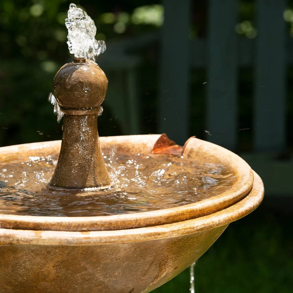 Borghese in basin fountain in action upclose.