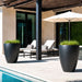 Brannan Tapered Round Fiberglass Planter on concrete filled with plants near a swimming pool.
