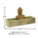 Buddah Trough Fountain with product details.