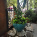 Cabachon Planter - Agave - S/3 filled with green plants