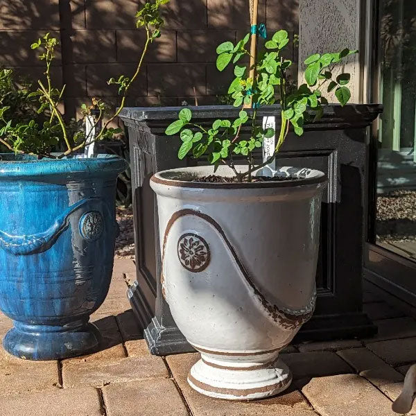 Campania Anduze Urn planters on red brick patio