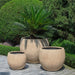 Campania International Sfera Planter, Large on concrete filled with plants.