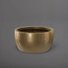 Casablanca Bowl Fiberglass Planter in gloss metallic gold against gray background.