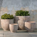 Causago Planter - Antico Terra Cotta on concrete filled with plants.