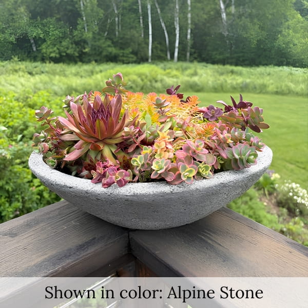 Celine bowl planter filled with a colorful succulent arrangement displayed on a deck railing overlooking a lush green landscape.