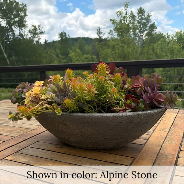 Celine bowl planter with a colorful succulent arrangement displayed as an outdoor table centerpiece with scenic woodland views.