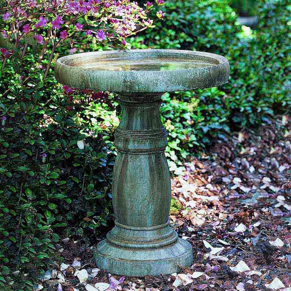 Classic Birdbath, Large beside green plants in the backyard