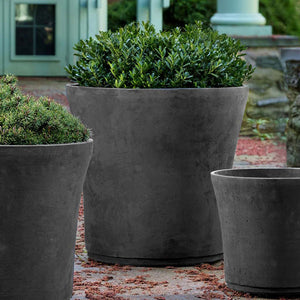 Cloche Planter, Extra Large in charcoal filled with plants