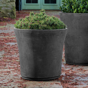 Cloche Planter, Large in charcoal filled with plants