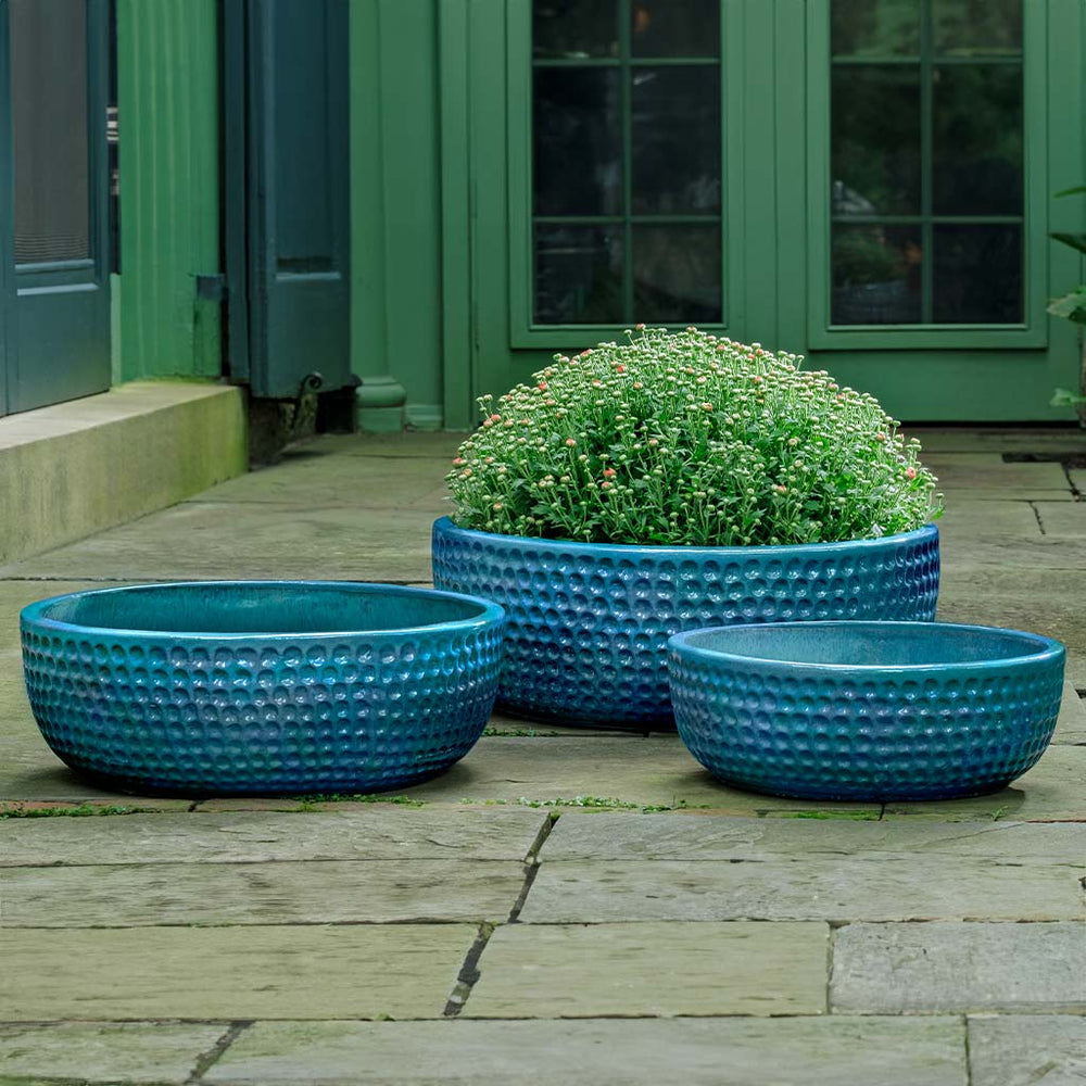 Coin Bowl - Aqua  S/3 filled with plants in the backyard.