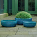 Coin Bowl - Aqua  S/3 filled with plants in the backyard.