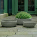 Coin Bowl Planter - Pewter Green - S/3 on concrete filled with plants