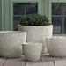 Coin Pot Planter - Pearl - S/4 on concrete filled with plants