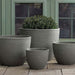 Coin Pot Planter - Pewter Green - S/4 on concrete filled with plants