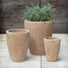 Colburn Planter - Antico Terra Cotta - S/3 on concrete filled with plants